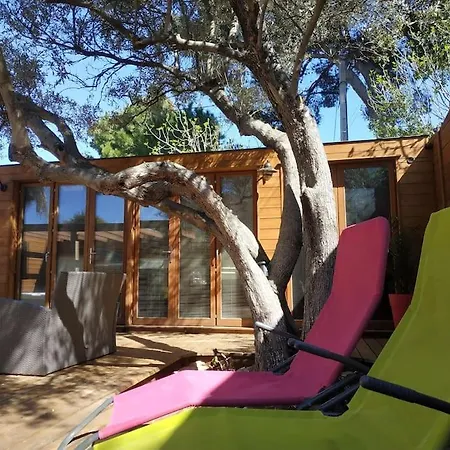 Apartamento Studio Jacuzzi Prive A 8 Min A Pied De La Plage La Ciotat